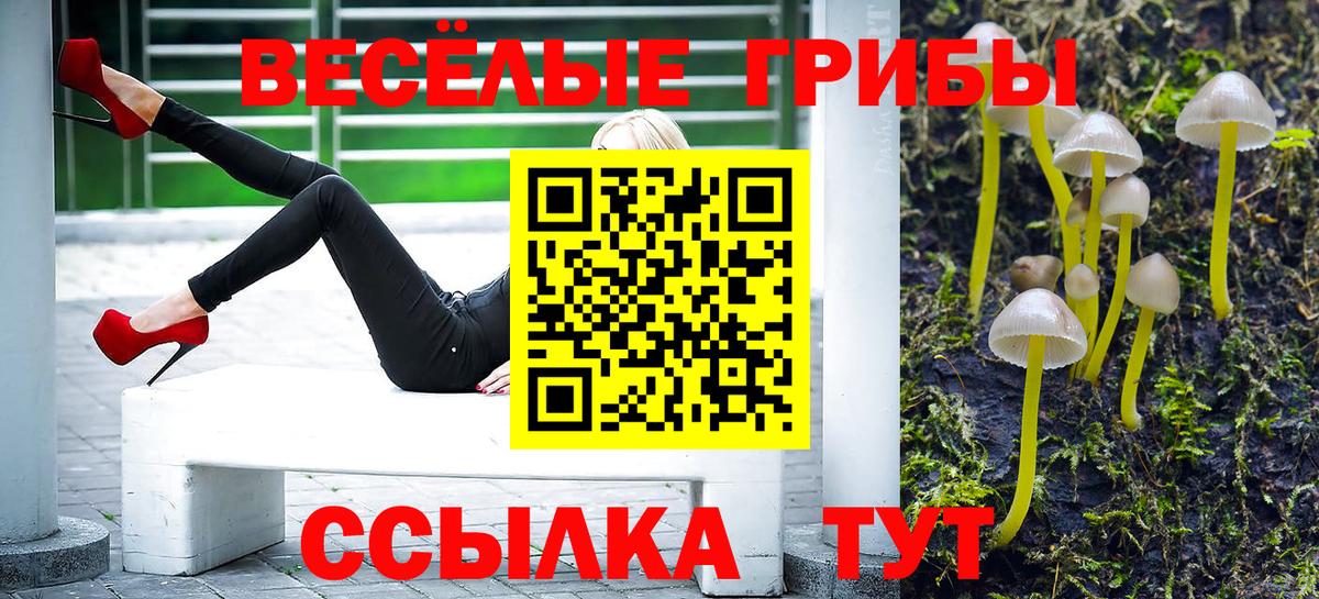 Галлюциногенные грибы прущие грибы Вичуга