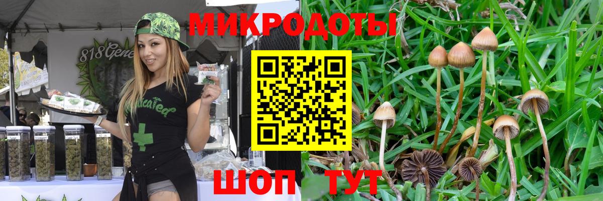 купить наркотики сайты  Галлюциногенные грибы Psilocybe  Вход с VPN  Вичуга 